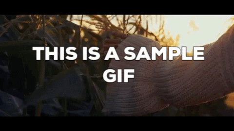 How To Make A Gif From Pictures 1 Making A Simple Animated Gif Using ...